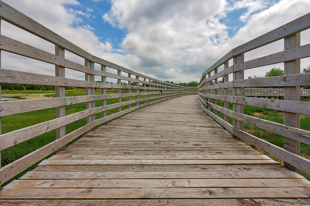 A clear wooden boardwalk with railings on both sides, representing healthy boundaries and a defined path